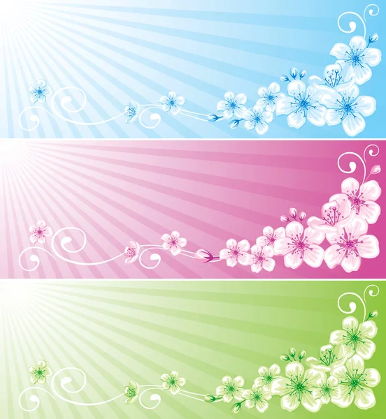 Spring background — Stock Vector