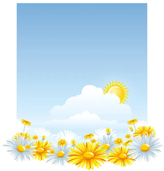 Beautiful background with a Chamomile — Stock Vector