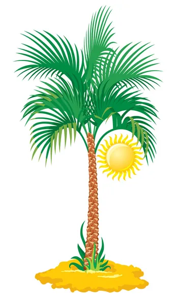 tropik palmiye ağacı