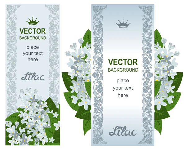 Two vertical banners with white lilacs — Stock Vector
