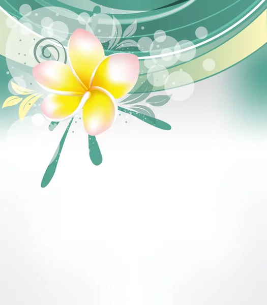 Hintergrund mit Blume plumeria — Stockvektor