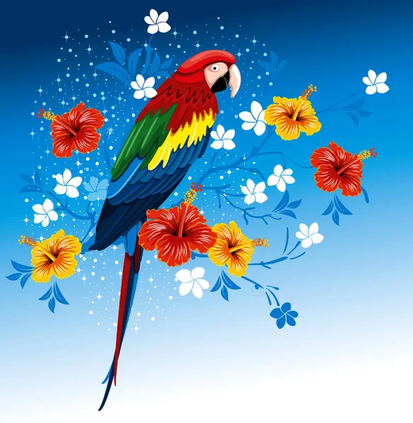 Parrot and tropical flowers — Stock Vector