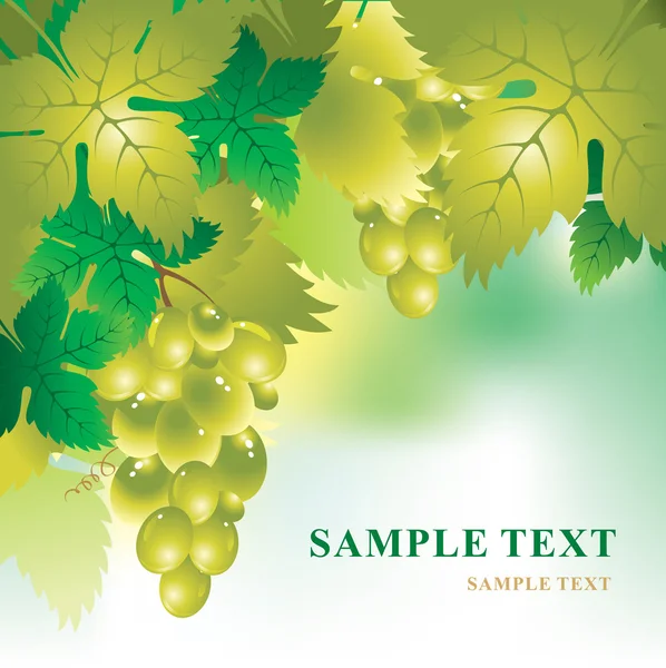 Soft vector background with a bunch of grapes and grape leaves — Stock Vector