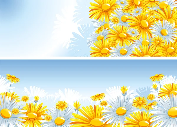 Beautiful background with a Chamomile — Stock Vector