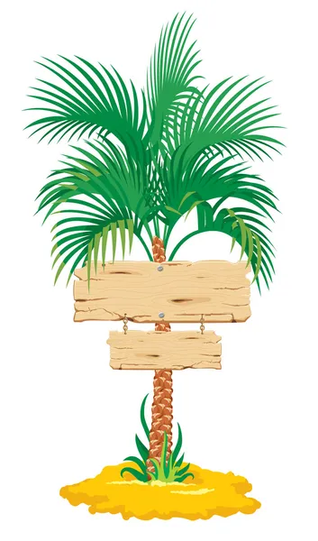 Tropik palmiye ağacı — Stok Vektör