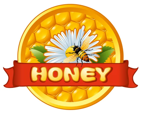 Bee en bloem op honingraat. — Stockvector