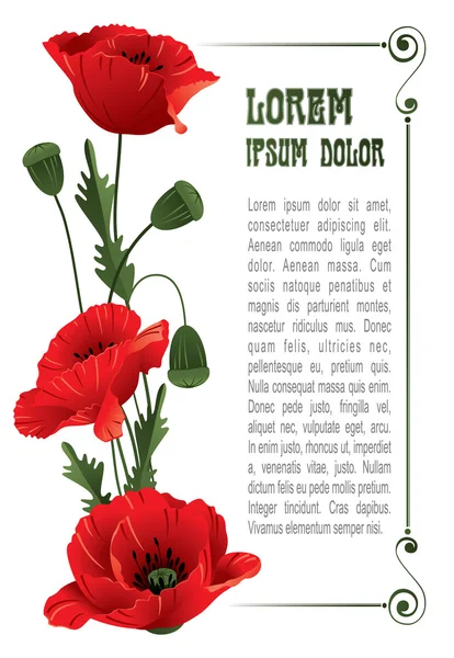 Amapolas y margaritas — Vector de stock