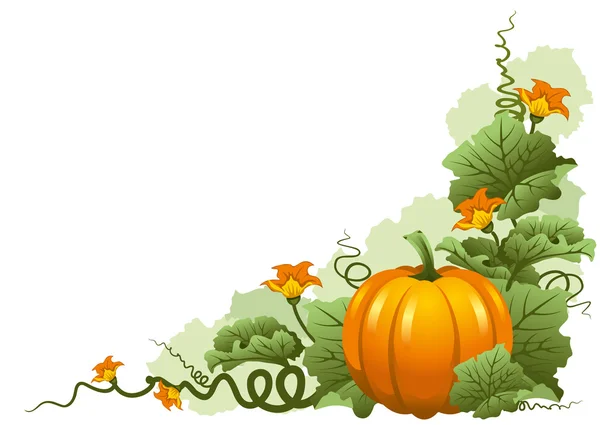 Pumpkin — Stock Vector