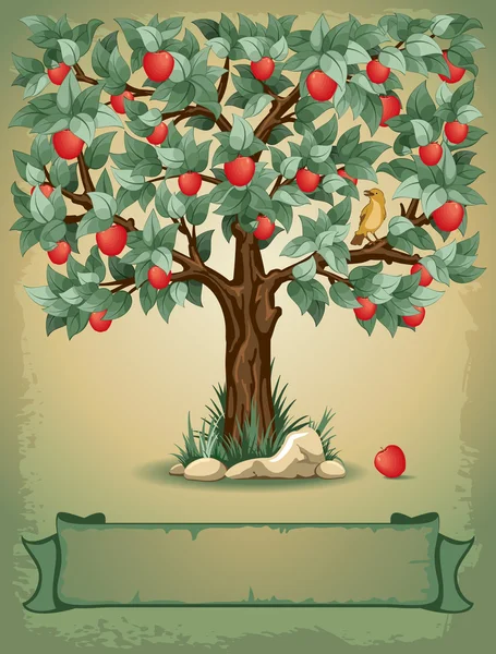 사과 나무 — 스톡 벡터