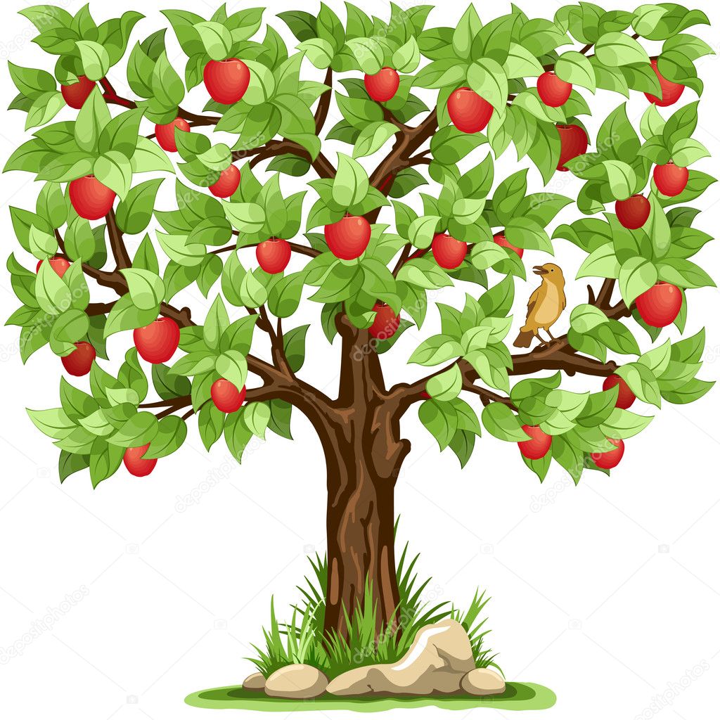 Grafika wektorowa Drzewo jabłoń, Drzewo jabłoń obrazy wektorowe |  Depositphotos