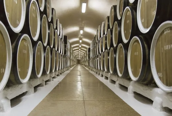 Wine cellar — Stock Photo, Image