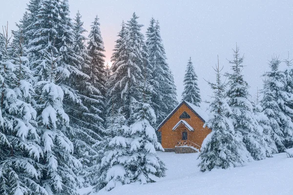 Historia del invierno — Foto de Stock