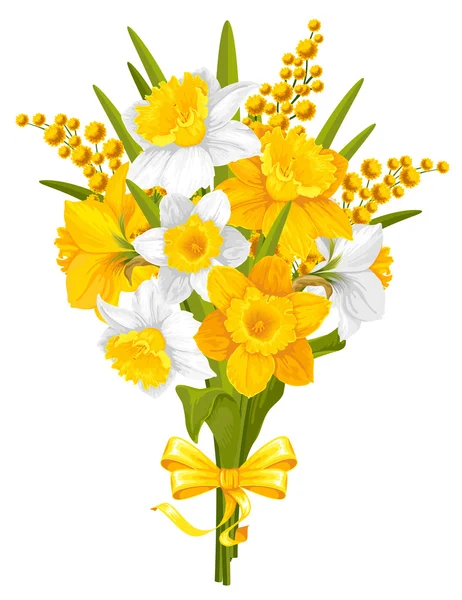 Daffodilos e mimoses — Vetor de Stock