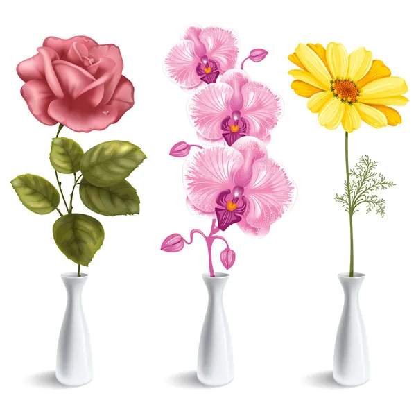 Flowers in vase — Stock Vector