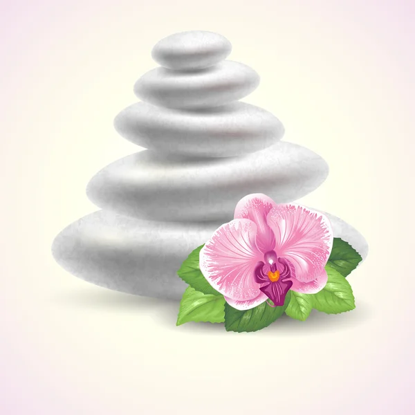 Piedras de spa — Vector de stock