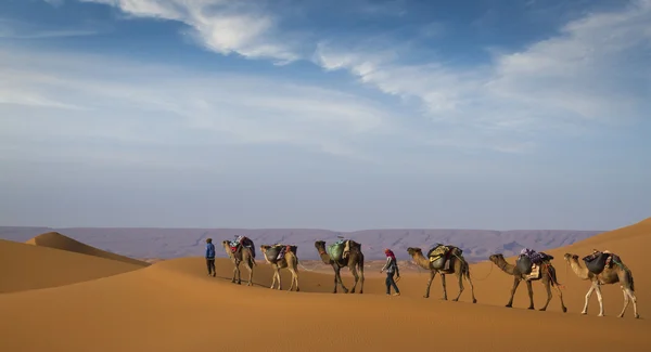 Desert caravan — Stock Photo, Image