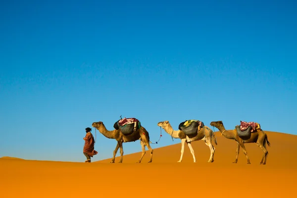 Karawany na pustyni — Zdjęcie stockowe