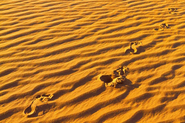 Footprints on sand — Stock Photo, Image