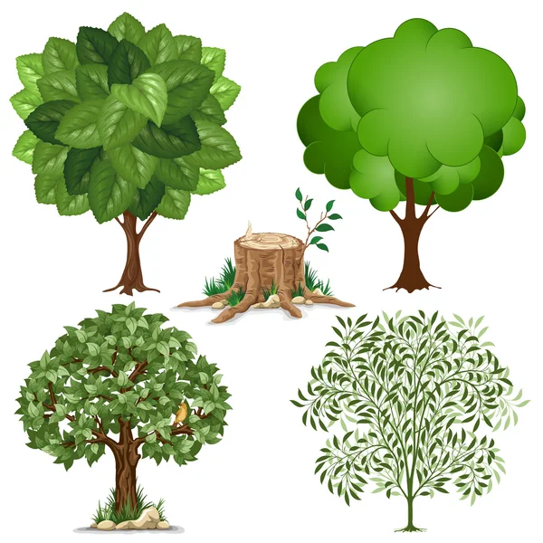 Set of trees — Stock Vector