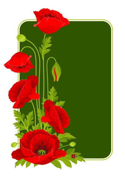 长方形框架 白色背景上有红色罂粟花 叶子和罂粟籽豆荚的角状组合 矢量说明 — 图库矢量图片