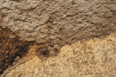Gürcistan 'ın Vardzia kentindeki bir mağara manastırında kırlangıç yuvası, ortaçağ Gürcistan mimarisinin bir anıtıdır. Yuvadaki piliçler