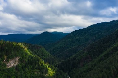 Borjomi 'deki dağlar yaz havası manzaralı. Ormanlı güzel yeşil dağlar ve Georgia 'da bulutlu gökyüzü. Yeşil bir yaz ormanının dokusu