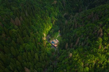 Yazın Borjomi maden suyu tesislerinde kükürt banyosu. Borjomi Vit 'teki ormandaki dağlarda sıcak bahar havuzu.