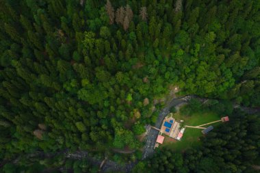 Yazın Borjomi maden suyu tesislerinde kükürt banyosu. Borjomi Vit 'teki ormandaki dağlarda sıcak bahar havuzu.