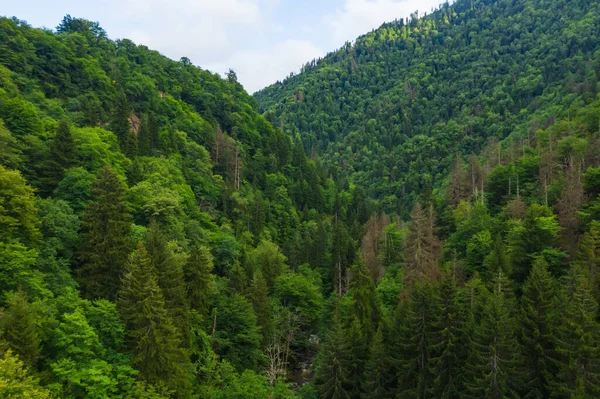 Montanhas Borjomi Vista Aérea Verão Lindas Montanhas Verdes Com Floresta — Fotografia de Stock