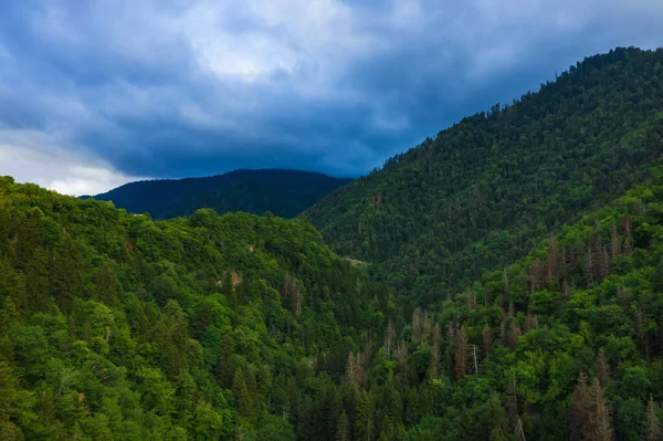 Montañas Borjomi Vista Aérea Verano Hermosas Montañas Verdes Con Bosque — Foto de Stock