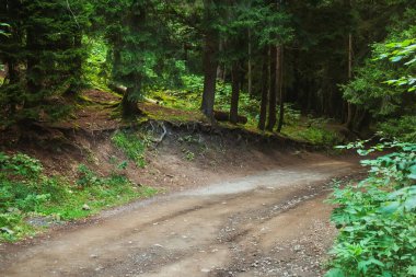 Georgia 'daki Borjomi Mineral Su Parkı' ndaki yol. Yazın ormandaki dağlarda asfaltsız yol