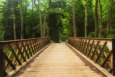 Georgia 'daki Borjomi Mineral Su Parkı' nda nehrin üzerinde büyük bir köprü. Yazın ormandaki dağlarda tahta köprü.