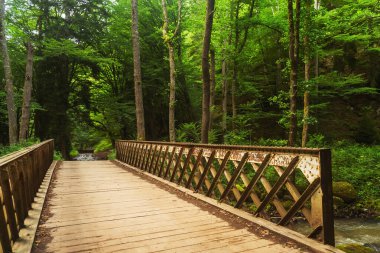 Georgia 'daki Borjomi Mineral Su Parkı' nda nehrin üzerinde büyük bir köprü. Yazın ormandaki dağlarda tahta köprü.