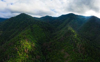 Gürcistan 'ın Borjomi tatil köyünün panoramik dağ manzarası. Yazın yeşil dağ sıraları ve yamaçlarının havadan görünüşü