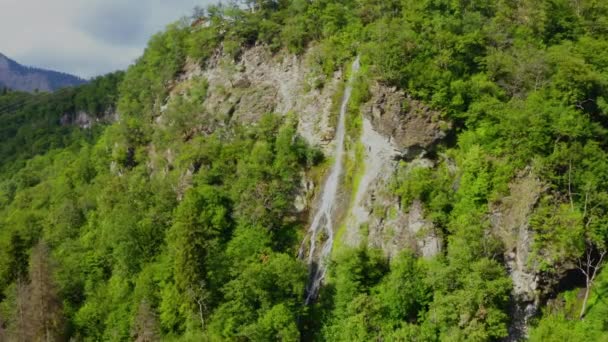 Cascada Borjomi Vista Aérea Verano Vista Cascada Montaña Desde Trono — Vídeos de Stock