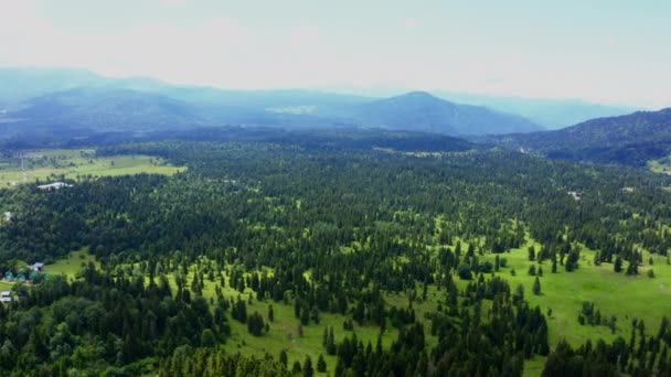 Montagne Borjomi Estate Vista Aerea Belle Montagne Verdi Con Foresta — Video Stock