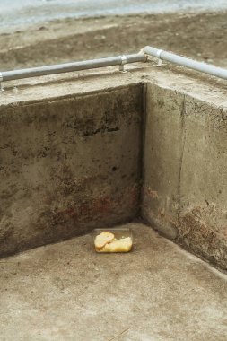 Dağıtılan artıklar zemindeki plastik bir konteynırın içinde. Sokaktaki bitmemiş yemekler.