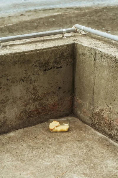 Leftovers on the ground in a plastic container on the embankment. Unfinished food on the street