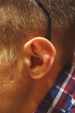 Adamın kulağı yuvarlak. Kulak sarkıtı yakın plan. Gözlük tutuculu kulaklar.