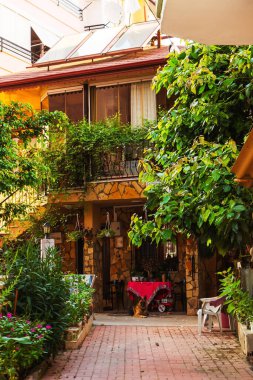 Türkiye 'de bir kafe yakınında Alman çoban köpeği. Köpek dostu kafe.