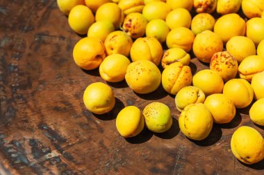 Eski bir Türk bakır tepsisinde kayısılar. Kendi bahçenizden ev yapımı sarı kayısılar. Çiftlikten gelen organik kayısılar.