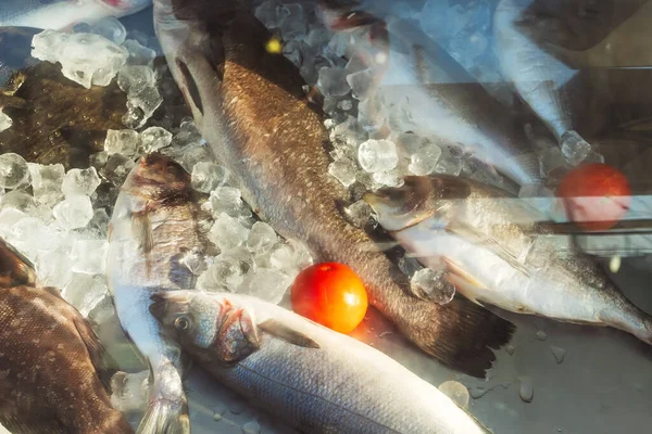 Риба Льоду Вікні Холодильника Ринку Морепродукти Ресторані Вибір Свіжі Неварені — стокове фото