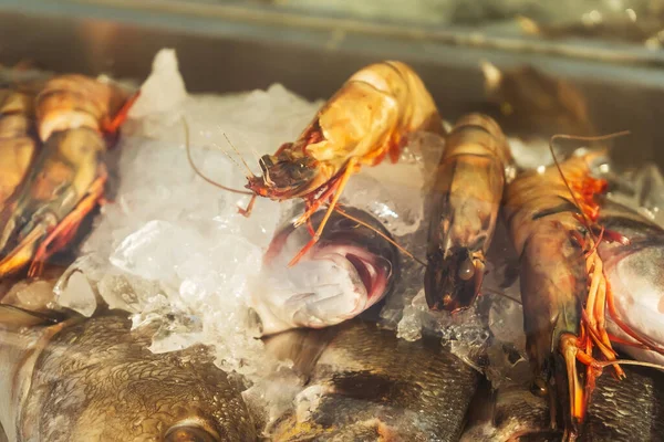 冷蔵庫の窓の氷の上に大きなエビや魚 カフェレストランでのシーフードから選択します 新鮮な裸の王のエビ — ストック写真