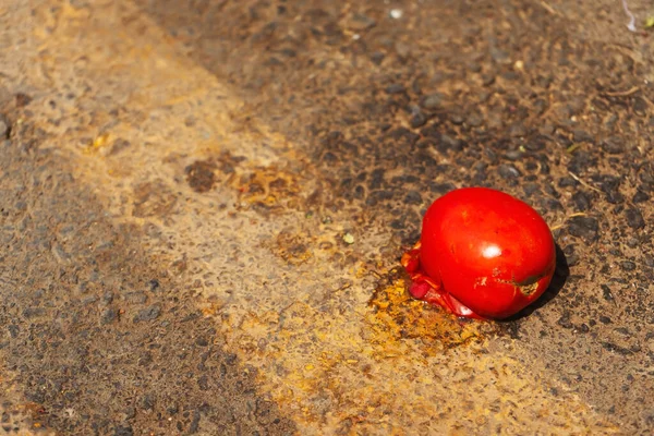 Tomate Aplastado Carretera Tomate Dañado Suelo Tomate Estropeado Sobre Fondo —  Fotos de Stock