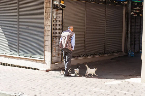 Vieil Homme Des Chats Errants Dans Les Rues Istanbul — Photo