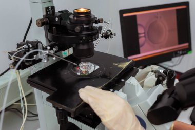 Yumurtayla birlikte üreme tıbbının merkezinde çalış. Yumurtanın tıbbi muayenehanede yapay döllenmesi. Monitör kullanarak dişi bir yumurtayla çalış. monitörde tıbbi verilerin görüntülenmesi