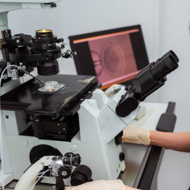 Yumurtayla birlikte üreme tıbbının merkezinde çalış. Yumurtanın tıbbi muayenehanede yapay döllenmesi. Monitör kullanarak dişi bir yumurtayla çalış. monitörde tıbbi verilerin görüntülenmesi