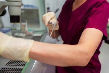 Elinde donmuş bir yumurtayla üreme uzmanı doktor. Dişi yumurtalarının döllenmesi için profesyonel ekipman. Doktorun eli teçhizatlı