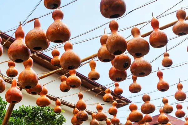 Decorative Gourds Hanging Lanterns Dried Pumpkin Lamps Turkey Alanya — Fotografia de Stock