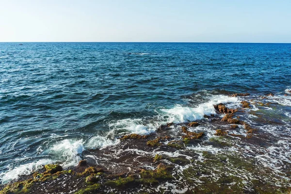 Algae Shore Sea Coast Turkey Texture Mediterranean Sea — Stockfoto